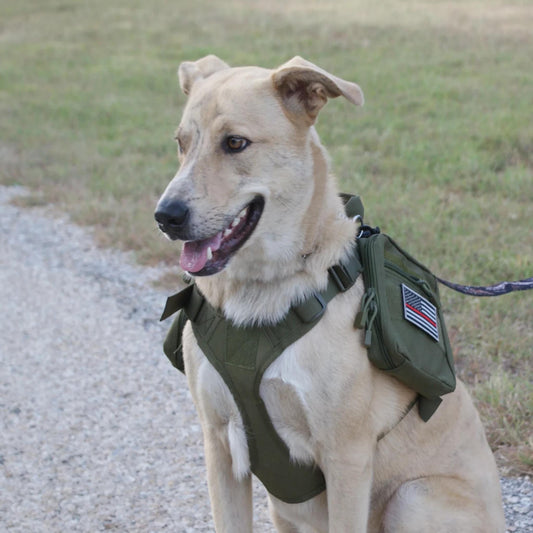 Tactical-style Dog Harness. Medium and Large Breed