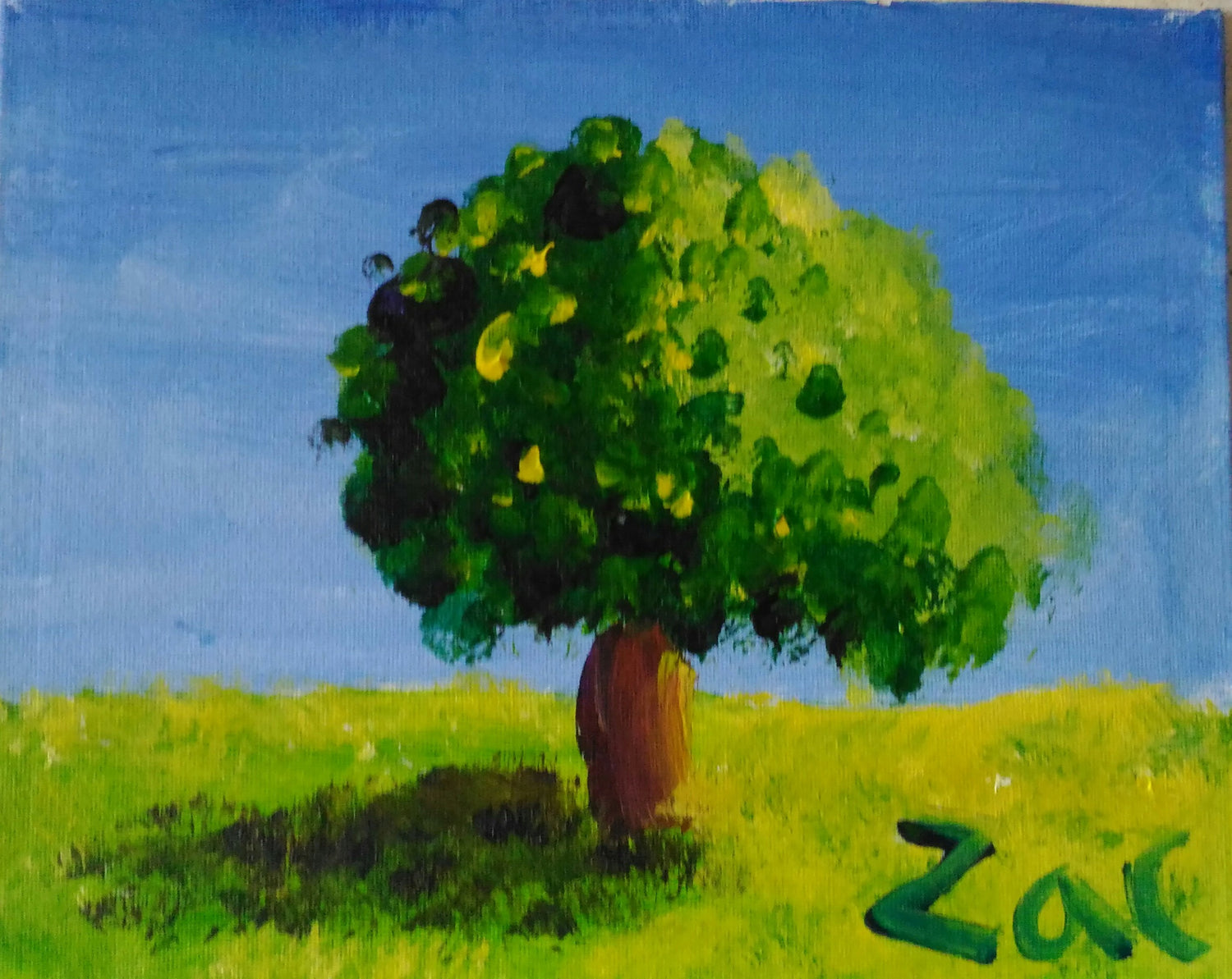 Zacs Paintings